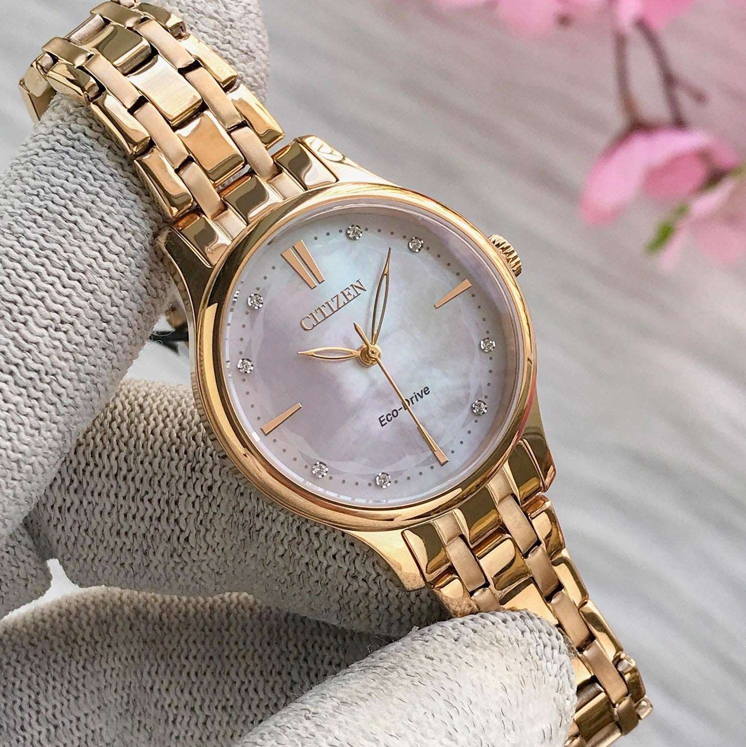 Citizen Eco-Drive Ladies Stainless Steel Watch EM0893-87Y Citizen