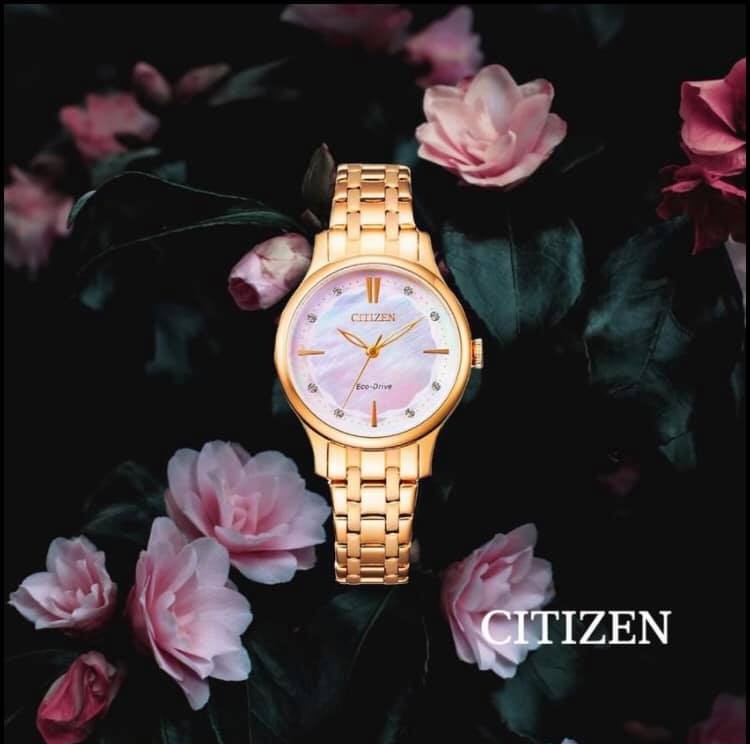 Citizen Eco-Drive Ladies Stainless Steel Watch EM0893-87Y Citizen