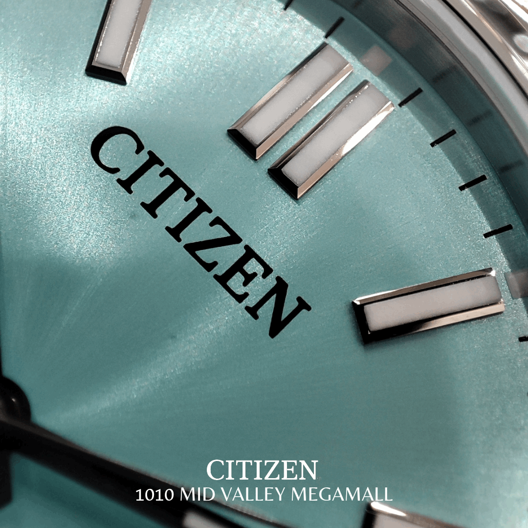 Citizen Mechanical Stainless Steel Watch NJ0151-88M Citizen